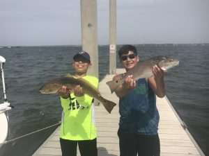 Things to do in Navarre Beach