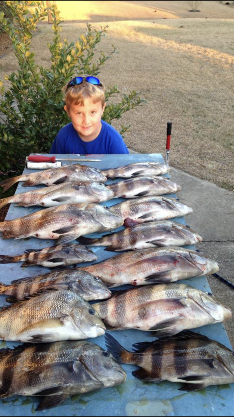 Fishing In Navarre Beach Florida Pensacola Beach Destin