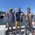 Things To Do In Navarre Beach