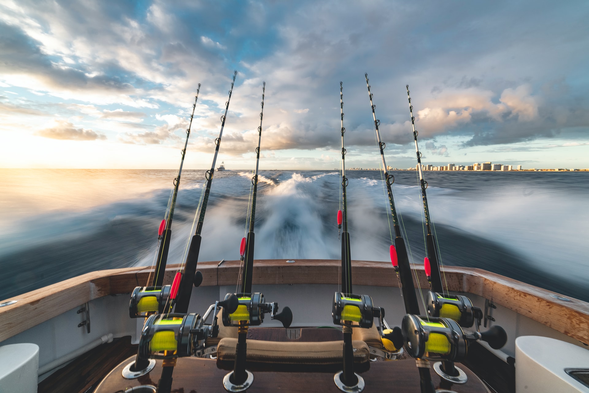 The Ultimate Guide to Tarpon Fishing in the State of Florida