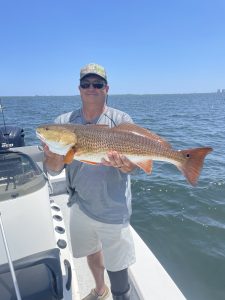 Navarre fishing