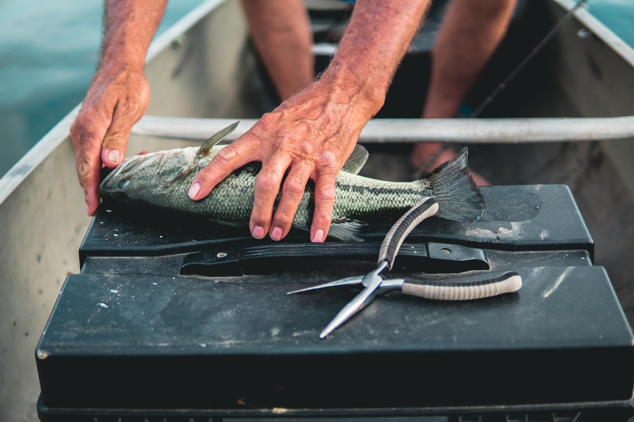 Adventure Ready: How to Prepare for Your Fishing Trip