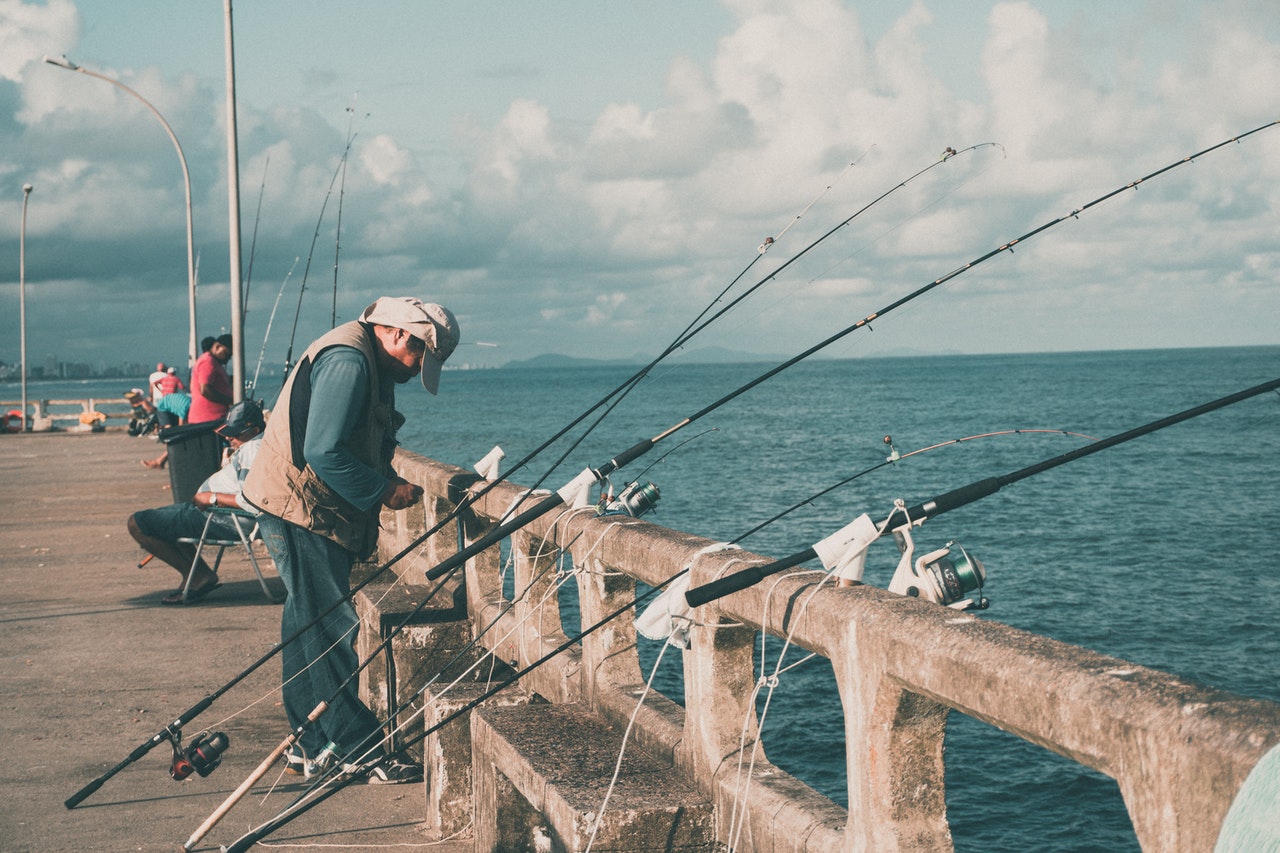 How Dangerous Are Sheepshead Fish?