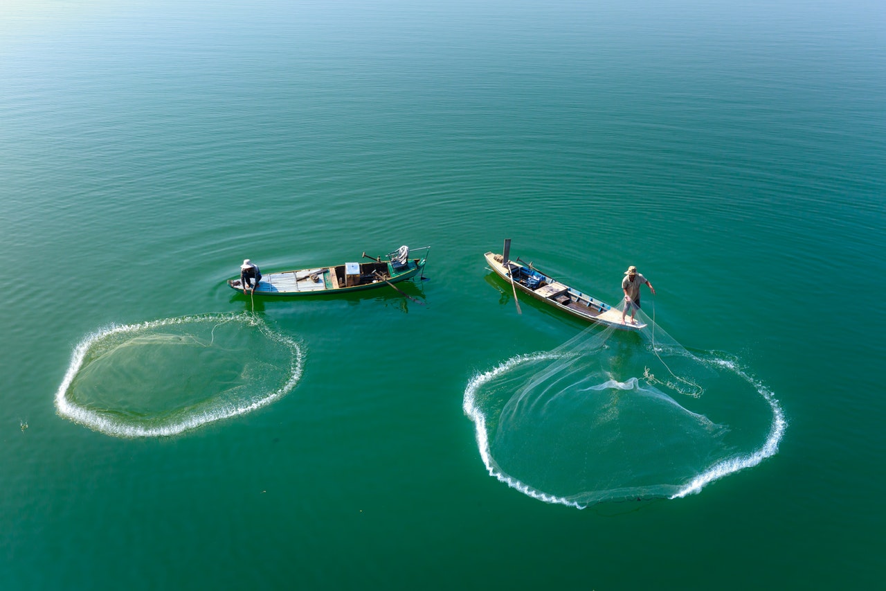 fishermen on boats catching fish