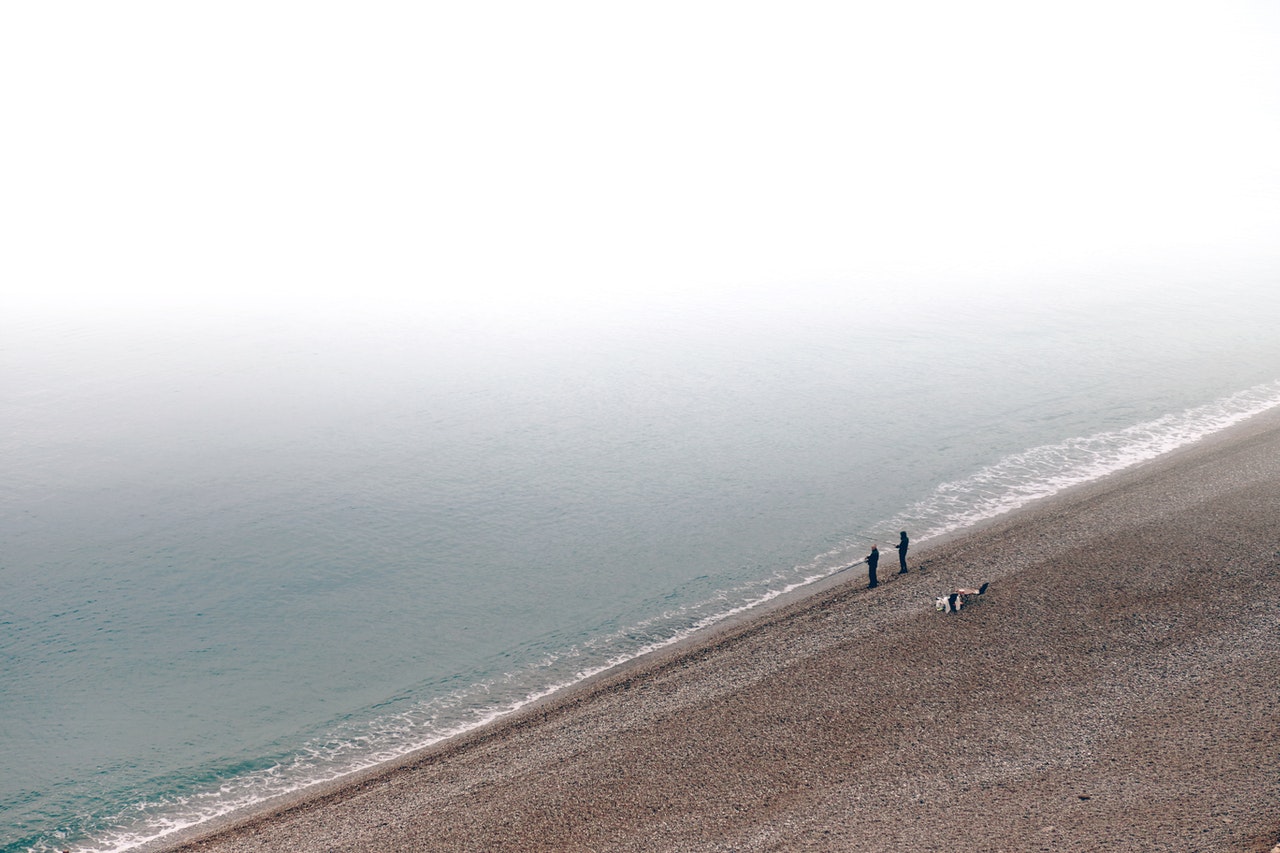 people fishing at the beach