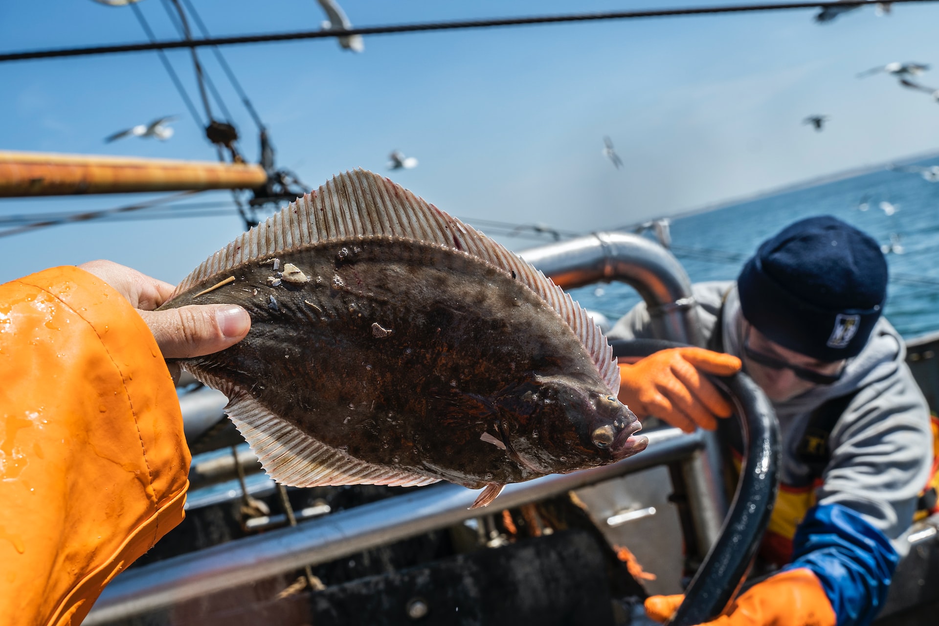 Flounder Fishing (Best Spots, Lures, Tips, & Rigging For More