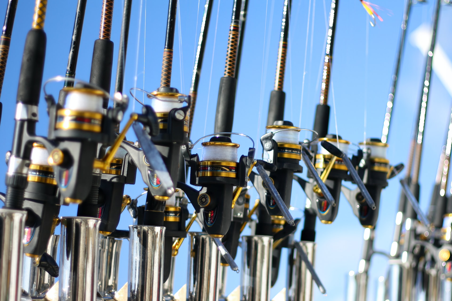 fishing rods