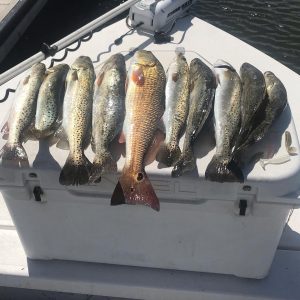 Family and friends reeling in a trophy redfish aboard an all-day inshore fishing charter with Showintail Inshore Charters in Navarre Beach, Florida