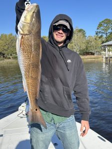 Angler holding a bull Redfish caught on a morning charter in Navarre Beach
